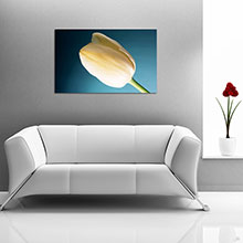 Canvas Tablo